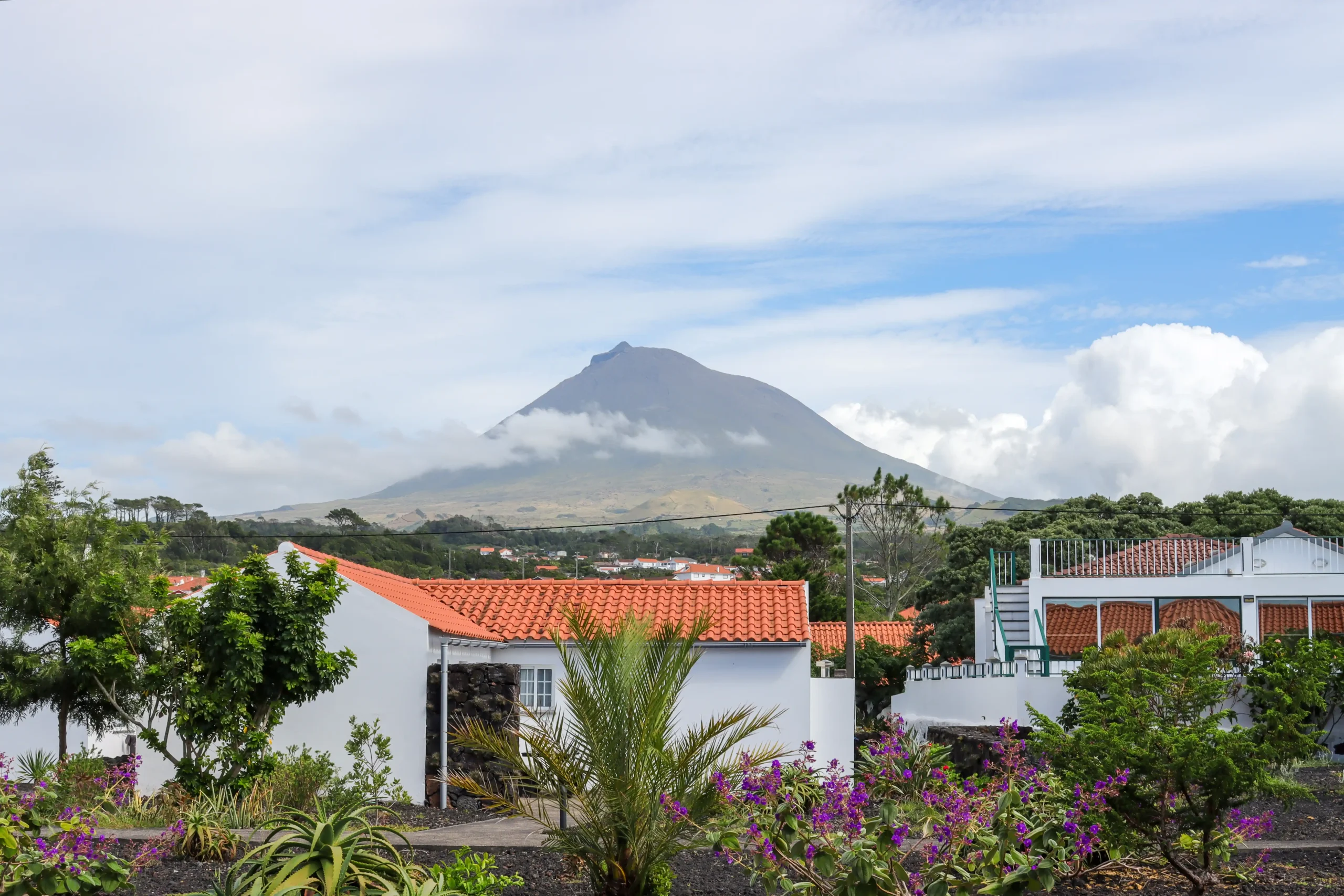 IMG_3207 copiar